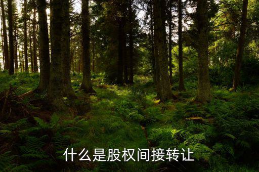 什么是股權間接轉(zhuǎn)讓，什么是股權間接轉(zhuǎn)讓