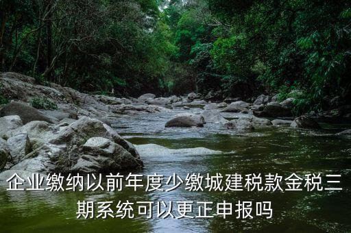 金稅三期更正申報需要什么資料，企業(yè)繳納以前年度少繳城建稅款金稅三期系統(tǒng)可以更正申報嗎