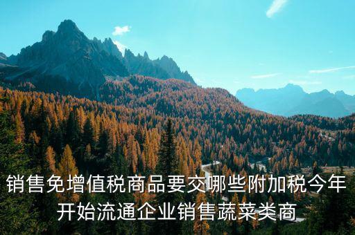 免稅商品銷(xiāo)售要交什么稅，銷(xiāo)售免增值稅商品要交哪些附加稅今年開(kāi)始流通企業(yè)銷(xiāo)售蔬菜類(lèi)商