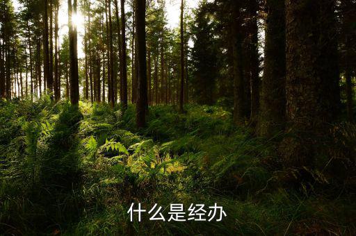 稅務(wù)文書(shū)經(jīng)辦是什么意思，什么是經(jīng)辦