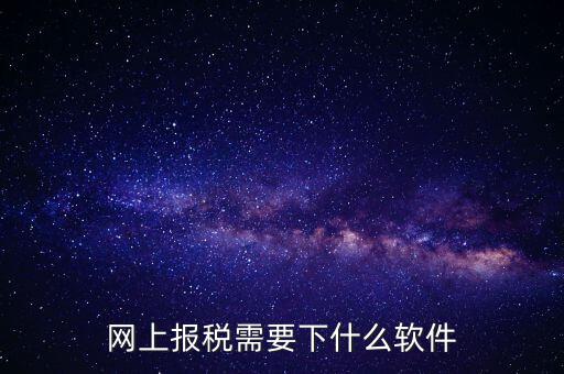 報(bào)國(guó)稅都安裝什么軟件，網(wǎng)上報(bào)稅需要下什么軟件