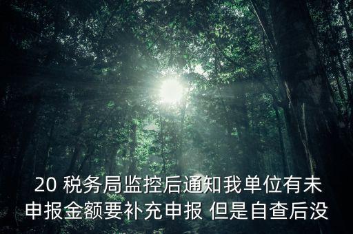 稅務(wù)局為什么風(fēng)險報告，稅務(wù)局發(fā)來稅遵從風(fēng)險分析報告什么意思