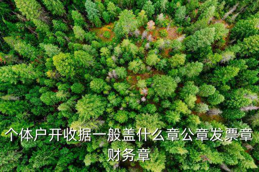 個(gè)體戶的定額發(fā)票蓋什么章，個(gè)體戶的定額發(fā)票上蓋的個(gè)體戶章能用嗎
