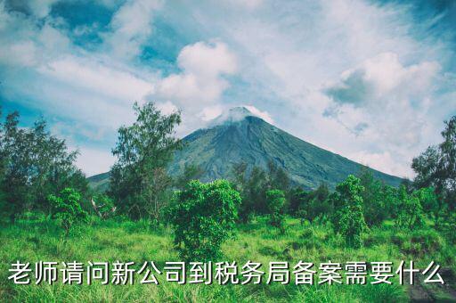 稅務(wù)報(bào)備需要什么材料，稅務(wù)備案需要哪些資料