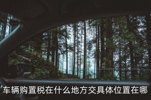 榆次汽車購置稅在什么地方交，車輛購置稅在什么地方交具體位置在哪