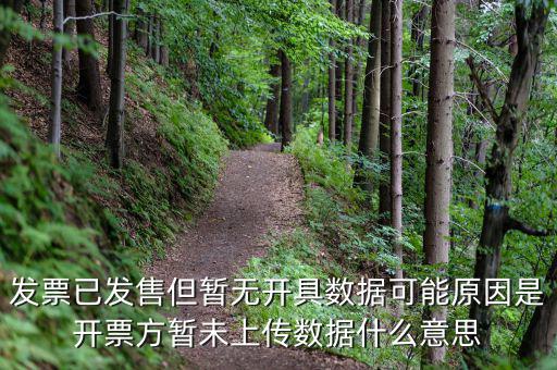 百旺的開票未上傳是什么意思，發(fā)票已發(fā)售但暫無開具數(shù)據(jù)可能原因是開票方暫未上傳數(shù)據(jù)什么意思