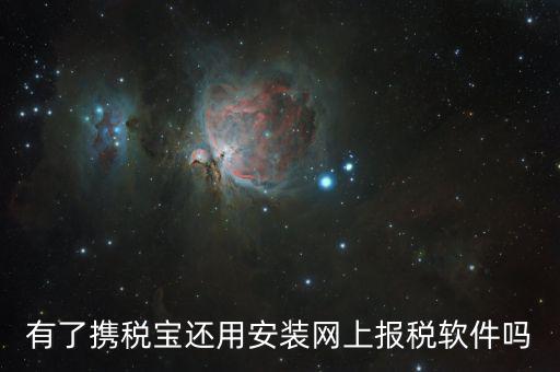 有了攜稅寶還用安裝網上報稅軟件嗎
