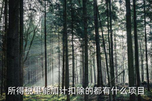 什么企業(yè)加計(jì)扣除，人員工資加計(jì)扣除政策是什么意思