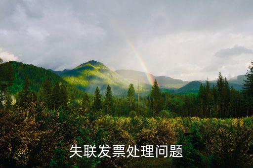 增值稅普通失聯(lián)發(fā)票是什么意思，增值稅普通發(fā)票是什么意思