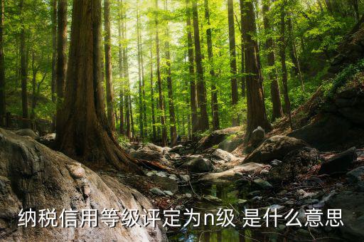 國(guó)稅信用級(jí)別是什么，納稅信用等級(jí)評(píng)定為n級(jí) 是什么意思