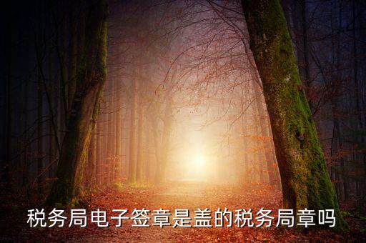 稅務(wù)局電子簽章是什么，在國(guó)稅系統(tǒng)電子簽章時(shí)為什么不是每次都提示輸入口令