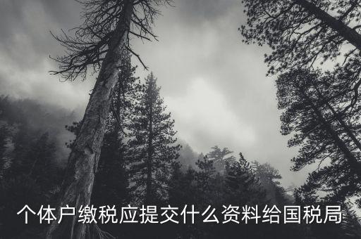 個(gè)體戶(hù)繳稅應(yīng)提交什么資料給國(guó)稅局