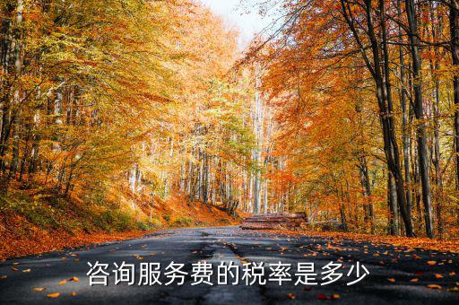 咨詢服務(wù)交什么稅，公司收到一筆咨詢費應(yīng)該如何納稅稅率是多少急謝謝