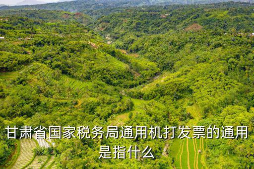山西省稅務(wù)局六最是指什么，甘肅省國家稅務(wù)局通用機打發(fā)票的通用是指什么