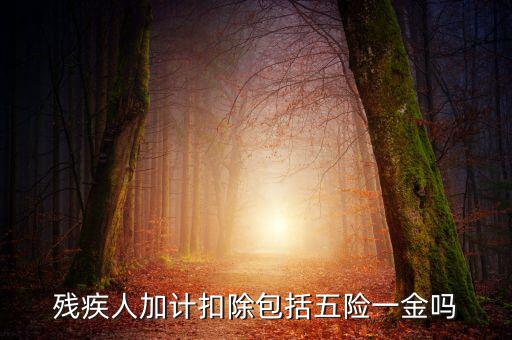 殘疾人加計扣除是什么意思，福利企業(yè)殘疾職工工資百分百加計扣除是怎么回事