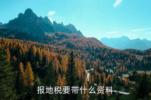 地稅都申報(bào)什么材料，申報(bào)地稅要什么資料