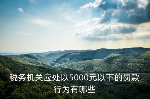 稅務(wù)局行為罰款是什么，稅務(wù)機(jī)關(guān)應(yīng)處以5000元以下的罰款行為有哪些