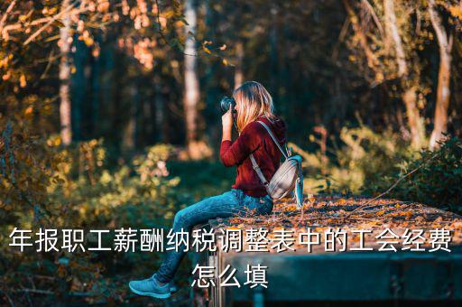工會經(jīng)費(fèi)減除項填什么，網(wǎng)上報稅時又多了一項工會經(jīng)費(fèi)怎樣填寫計算