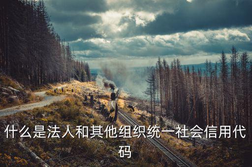 統(tǒng)一社會信用碼是什么意思，深圳碼統(tǒng)一社會信用代碼是什么