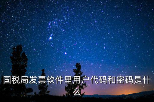 登錄稅務(wù)開票密碼是什么，國稅第一次網(wǎng)上申報(bào)的登陸密碼是什么