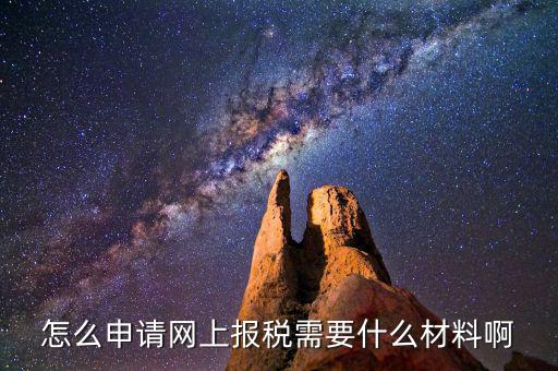 網(wǎng)上國(guó)稅報(bào)稅需要什么資料，怎么申請(qǐng)網(wǎng)上報(bào)稅需要什么材料啊