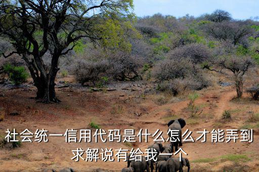 單位統(tǒng)一社會信息用代碼是什么，統(tǒng)一社會信用代碼9至17位