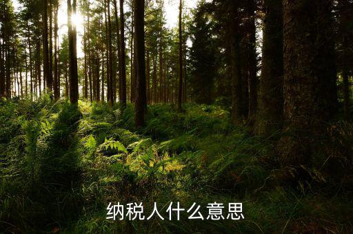 納稅資格什么意思，具有納稅人資格是什么意思