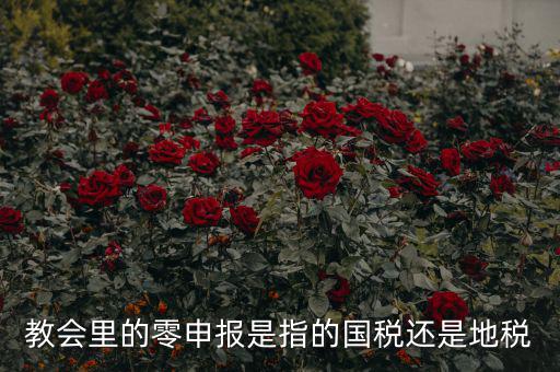 教會里的零申報(bào)是指的國稅還是地稅