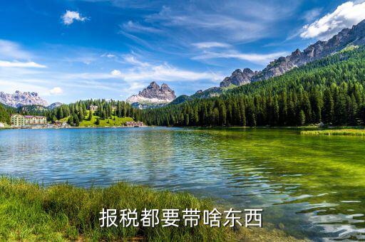 申報繳稅帶什么，報稅都要帶啥東西