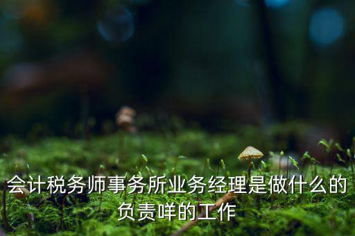 稅務(wù)師事務(wù)所做什么的，稅務(wù)所是干什么的