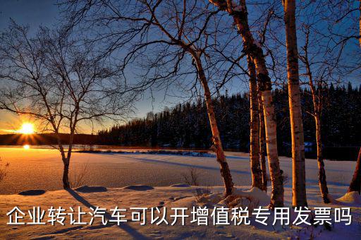 單位二手車轉(zhuǎn)讓未抵稅車開什么票，小企業(yè)出售二手車沒(méi)開發(fā)票要付什么憑證