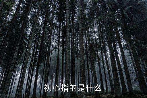稅務(wù)人 初心是什么，納稅人意識(shí)是什么謝謝