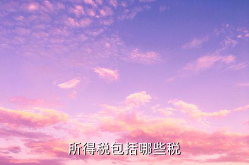 企業(yè)所得稅包含什么，公司所得稅包含有哪兩個(gè)
