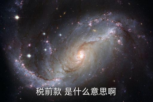 稅前金額是什么意思，稅前款 是什么意思啊