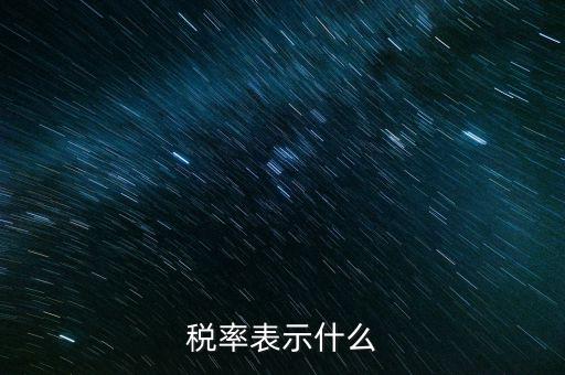 納稅代表什么，稅率表示什么