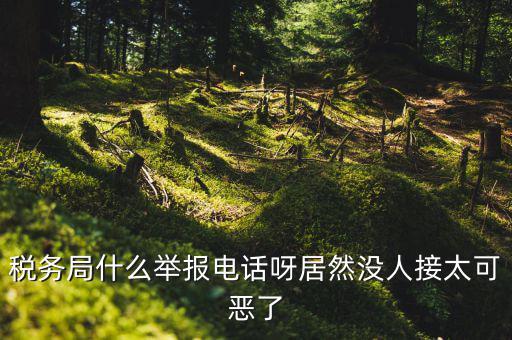 什么叫稅務(wù)舉報，稅務(wù)局什么舉報電話呀居然沒人接太可惡了