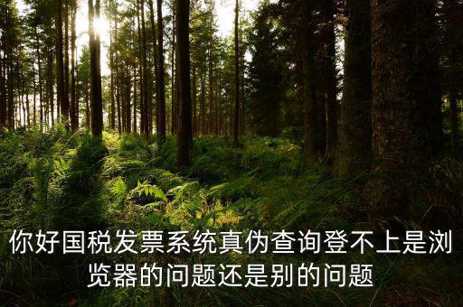 新疆國(guó)稅發(fā)票查詢?yōu)槭裁催M(jìn)不去，為什么國(guó)稅官網(wǎng)中電子發(fā)票查詢打不開