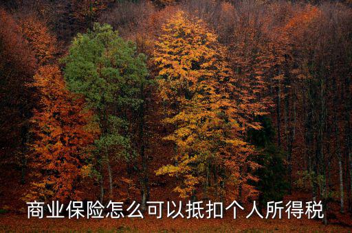 商業(yè)保險(xiǎn)怎么可以抵扣個人所得稅