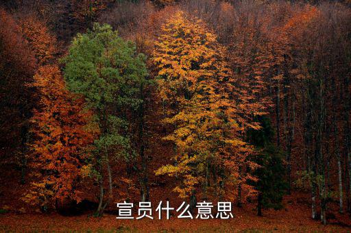 稅宣員是什么意思，宣員什么意思
