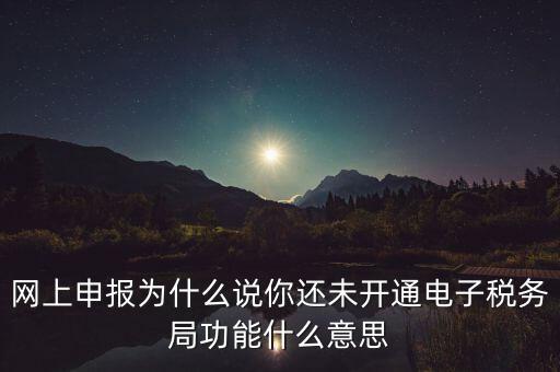 電子稅務(wù)局是干什么，企業(yè)金稅盤系統(tǒng)用來開票抄稅報稅用那登錄國稅地稅局網(wǎng)站是干嘛的