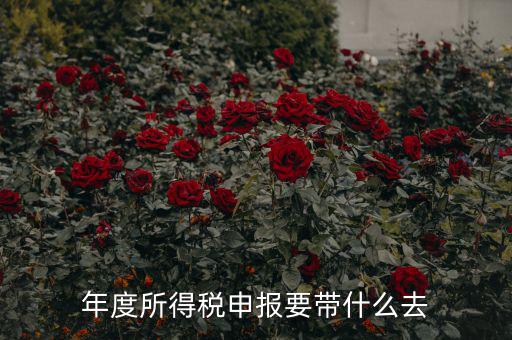 納稅申報(bào)應(yīng)帶什么東西，你好 到稅務(wù)局報(bào)稅需要帶什么東西怎么報(bào)