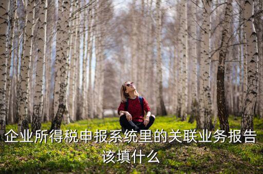 什么情況寫關(guān)聯(lián)申報(bào)，企業(yè)所得稅申報(bào)系統(tǒng)里的關(guān)聯(lián)業(yè)務(wù)報(bào)告該填什么