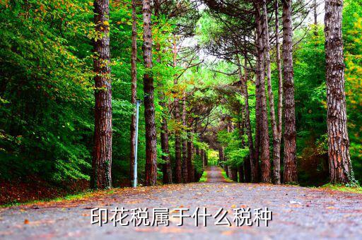 印花稅包括什么，印花稅屬于什么稅種