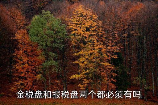 申報盤是什么，保險兼業(yè)代理人資格申報電腦數(shù)據(jù)盤是什么意思