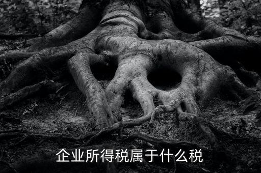 企業(yè)所得稅是什么稅，所得稅包括什么稅