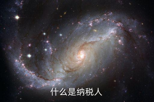 納稅人信息指的是什么，開(kāi)票票具一直提示請(qǐng)核實(shí)納稅人信息是什么意思