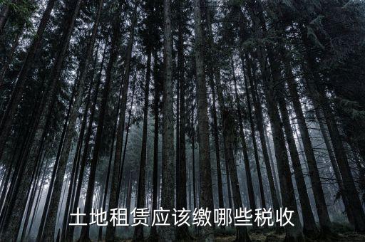土地租賃需要交什么稅，土地租賃應(yīng)該繳哪些稅收