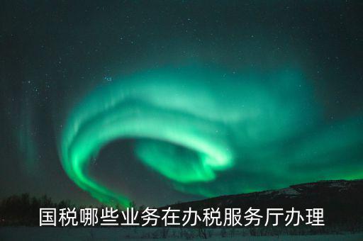 有什么在國稅辦，怎樣辦理國稅