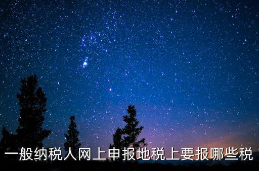 地稅都申報什么，一般納稅人網(wǎng)上申報地稅上要報哪些稅