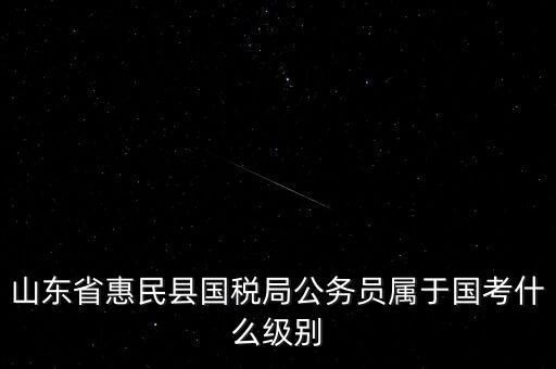 惠民國稅局在什么地方，國稅局在哪里